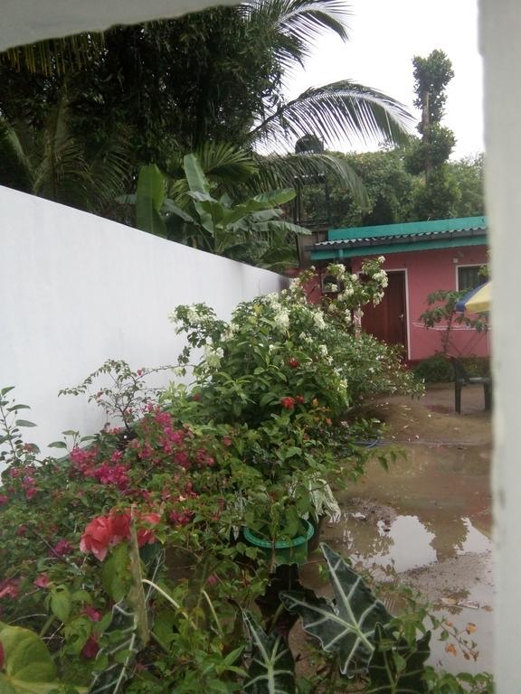 Little Pink House Mirissa Exterior photo